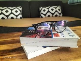 Au bord du vieux Moulin - près de Bordeaux - 2