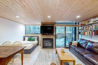 Telluride Lodge 324 - 4