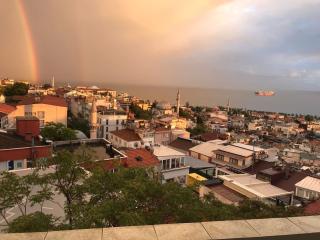 Bosphorus view, Great location and Cozy House! - Istanbul - 7