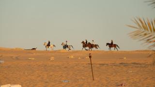 Karam Siwa Camp - Siwa - 6