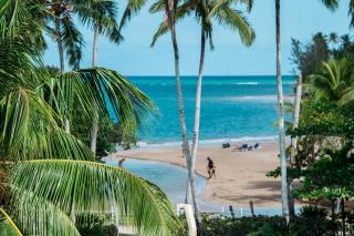 Penthouse beach front - Las Terrenas - 9