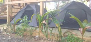 Rooster Run Camping is a - rooftop & elevated camping experience! Incredible views of The Rain Forrest and Culebra across the Atlantic Ocean - Tents, towels, comfortable Air Beds, Warm Shower-Central Location- 5 beaches -25 min walk & Ferry is 20 min - 7