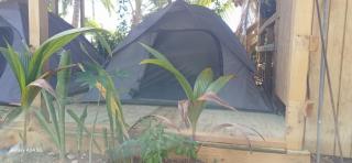Rooster Run Glamping Camping has rooftop and off the ground Glamping experience for 1 to 16 in a single tent and views of The Rain Forrest and to Culebra across the Atlantic Ocean w Tents, Linens, Deluxe Air Beds, Warm Shower and More at a Great Price - Vieques - 9