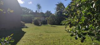 Ferienhaus mit Kamin nahe beheiztem am Waldschwimmbad - - 5