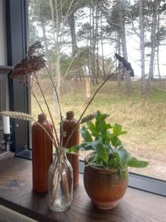 Simplicity In Retro Home On Samsø - Sælvig - 2