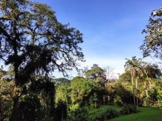 El Cedral - Pereira - 6