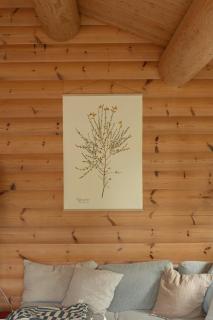 Find Peace In Present Environments - Vejby - 1