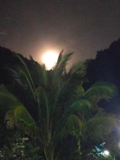 Good View Guest House - Phatthalung - 3