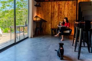 Tiny House withViews and Jacuzzi in Anton Valley - - 9