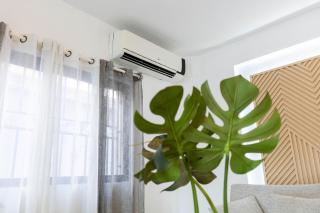 Caribbean Hotel Boutique - 4