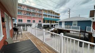 Parrot Cottage - Fort Myers Beach - 6