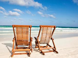 Serene Escape Cozy Home close to Beaches - Sarasota - 8