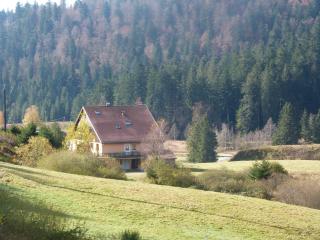Domaine Des Hauts Viaux - La Bresse - 6