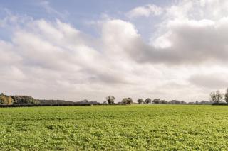 Barn Owl Cottage, Field Dalling - - 7