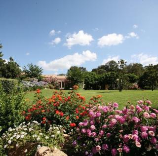 Studio 30 m2 climatisé calme - 1