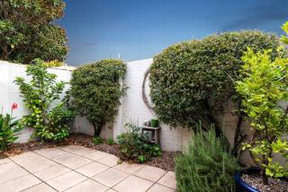 Sun-Soaked Sanctuary in the heart of Richmond - 4