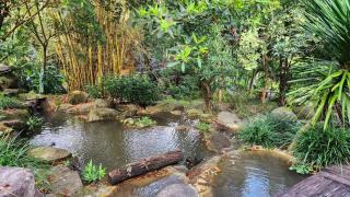 บุร รีสอร์ท Bura resort - 3