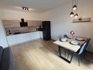 Central Residence Košice with air conditioning, IMPERIAL apartment N7 - Košice - 9