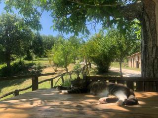 CASA VACANZE per Famiglie Agriturismo Montepolo - Canavaccio di Urbino - 3