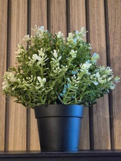 Appartement Rouen Le Stella Hyper Centre à 10 minutes - Rouen - 1