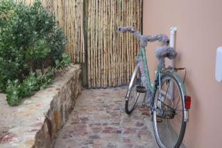 Happy's Hood - Pringle Bay - 1