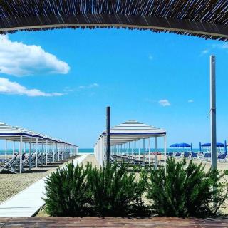 Casa Vinaria Lucca-Tuscany private pool new2024, exclusive use - San Martino in Freddana - 6