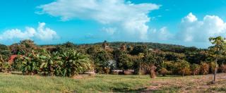 Star Apple Inn - San Andrés - 6