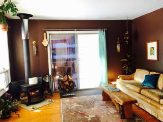 Happy Haven w hottub, Gym, & hammocks in West AVL - Asheville - 3