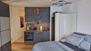 Apartment im Wikingturm - Panoramablick über die Schlei - Schleswig - 3