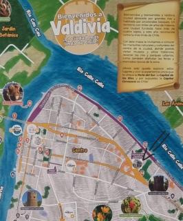 Cabaña en pleno centro - Valdivia - 8