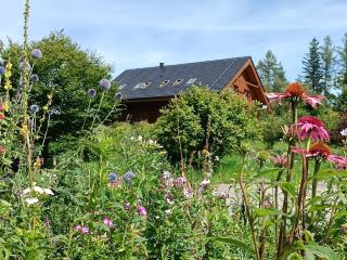 Srub Javorná - apartmány Šumava - Javorná - 8