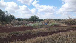 מול השדות-בית נופש - Ramat Ẕevi - 6