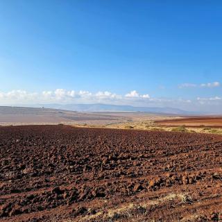 מול השדות-בית נופש - Ramat Ẕevi - 2