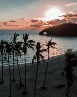 Modern Tropical Luxe Apartment - Boracay Newcoast - Boracay - 5