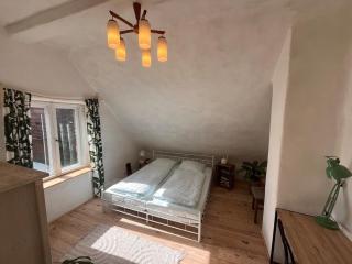 Nachhaltige Wohnung im Seenland - 5