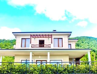 Ada Villam - Sapanca - 1