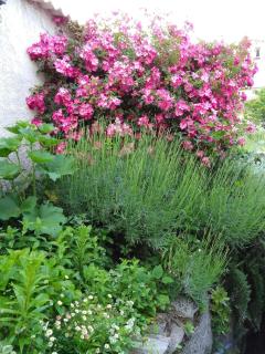 Charming stay in an Authentic Corsican Village - Zalana - 2