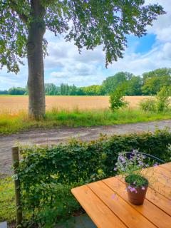 B&B De Gitane - Oedelem - 7