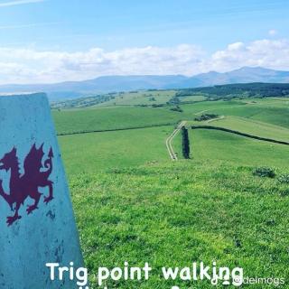 Luxury 5-Bed Farmhouse - Sleeps 8 & Hot Tub - 8