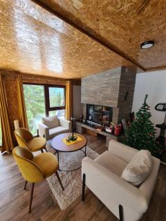 Villa Gabi Vlašić - Travnik - 9