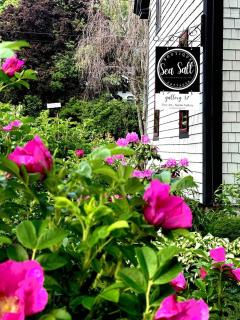 Recharge at Tranquil Sea Salt Cottage in Historic Wiscasset - 1