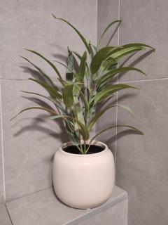 L'Olivine Chambre d'hôtes - 1