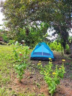 Nosso Quintal Candeias - Camping - Conceição do Mato Dentro - 0