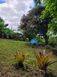 Nosso Quintal Candeias - Camping - Conceição do Mato Dentro - 5