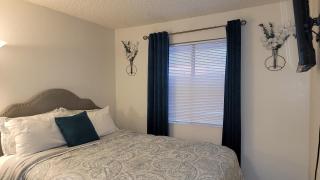 Pine Grove - Cozy Tempe 1br Apartment, near ASU - Tempe - 9
