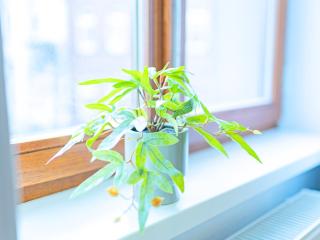 OH KEY Apartments - unlock your stay - Zentral in Fulda-City - 4