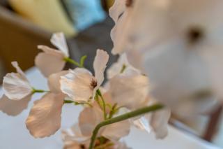 City Centre - Tram - The Jameson - 7