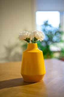 Couver House - 7