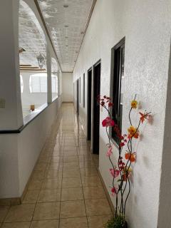 Hotel las Canarias - Canoas - 0