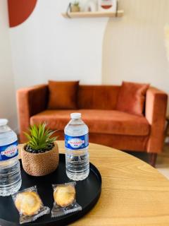 TERRAVITA - Bel Appartement - Calais Centre - Calais - 8